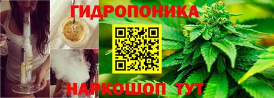 ПСИЛОЦИБИНОВЫЕ ГРИБЫ Будённовск