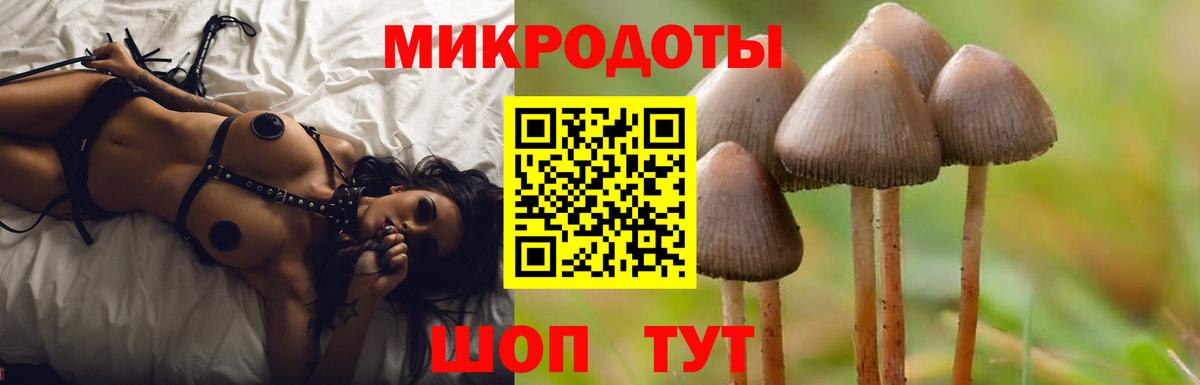 Галлюциногенные грибы Psilocybine cubensis Сертолово